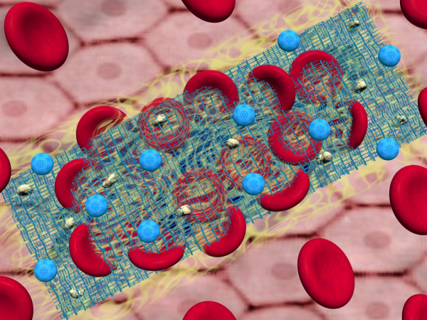Clottocytes in nanobots