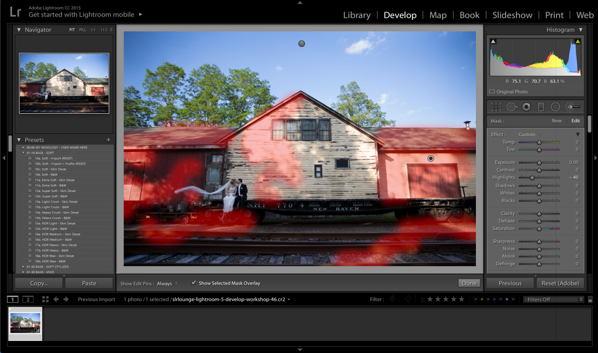 How to Blur Background Using Lightroom Your Ultimate Guide