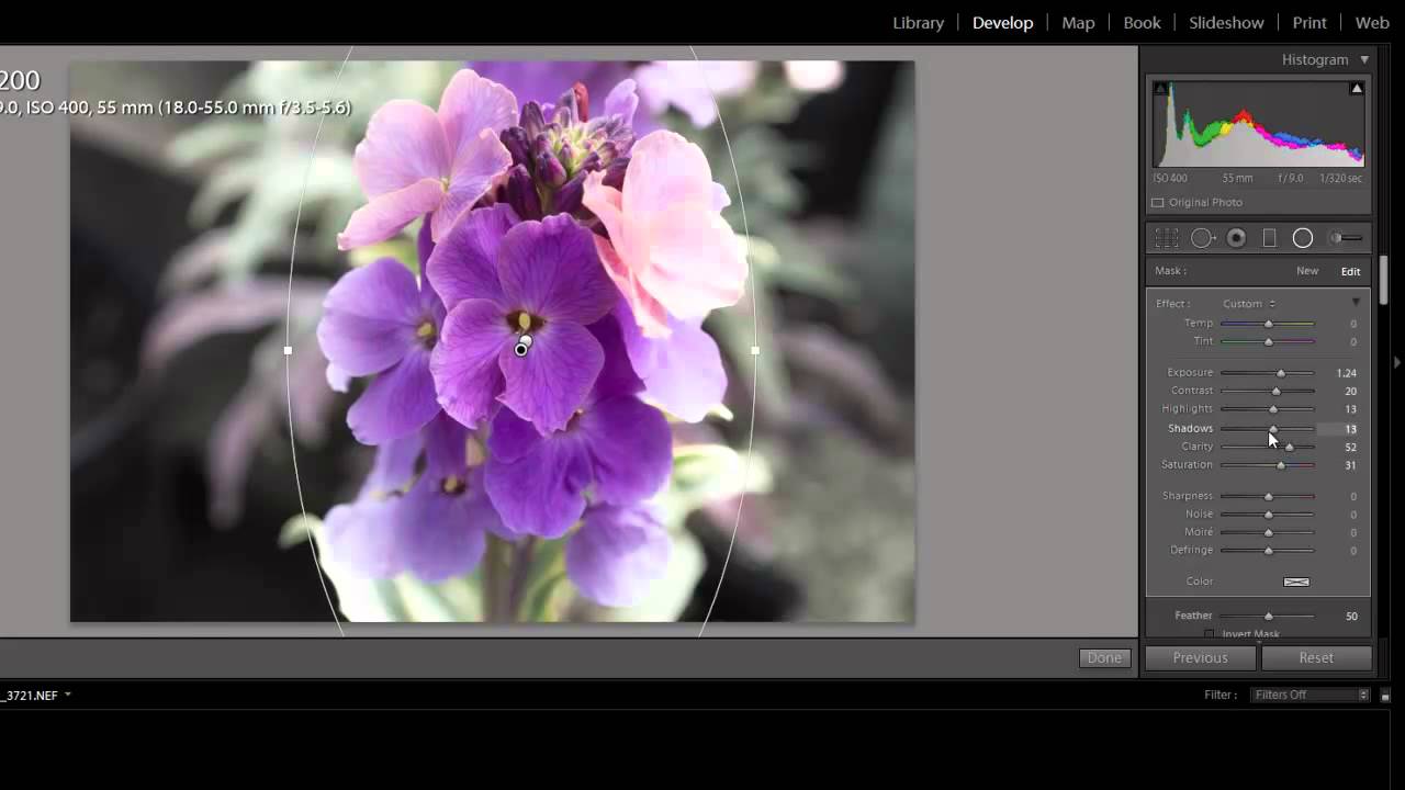 How to Blur Background Using Lightroom: Your Ultimate Guide