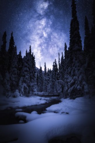 Download Starry Winter Wallpaper Cellularnews