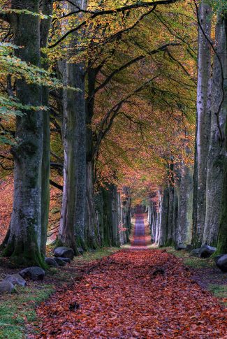 Hd Seasons Wallpapers Cellularnews