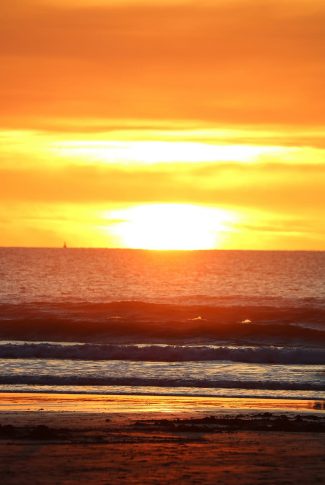 Download Beach At Sunset Wallpaper Cellularnews