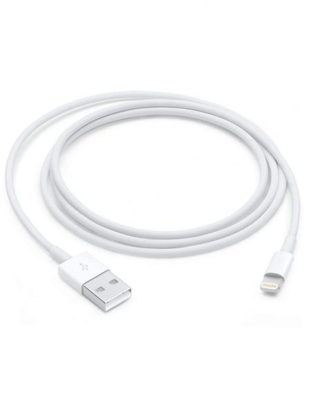 Apple official iPhone charging cable.