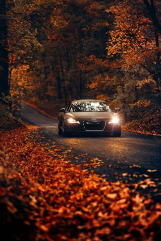 Download Smooth Audi Car in Autumn Wallpaper | CellularNews