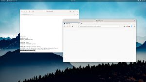 PureOS: Everything You Have to Know