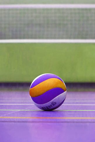 Download Purple Volleyball Wallpaper Cellularnews