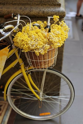 yellow bike with basket