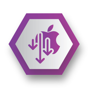 How to downgrade iOS