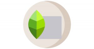 Snapseed Tutorial: Easy Guide to Edit Photos on Your Phone