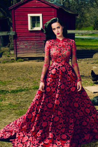 Download Katy Perry at the |
