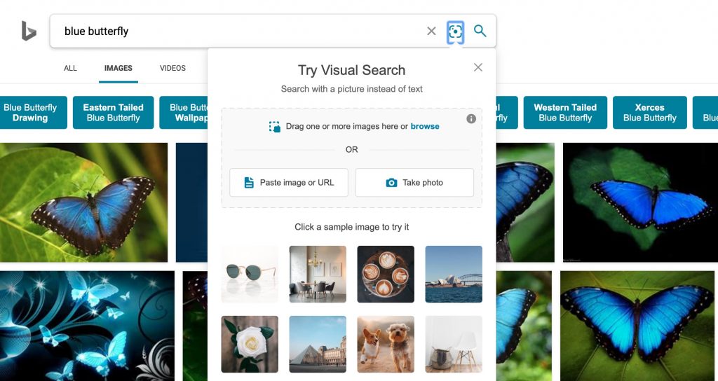 download reverse image search
