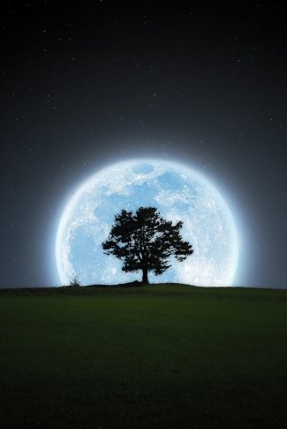 blue moon wallpaper