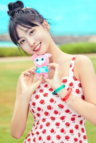 Download Twice And A Plush Toy Momo Wallpaper Cellularnews