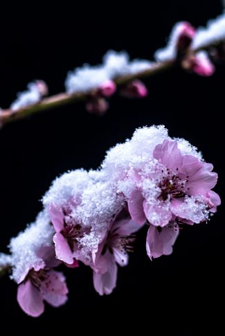 Featured image of post Aesthetic Winter Wallpapers Pink - See more about pink, aesthetic and grunge.