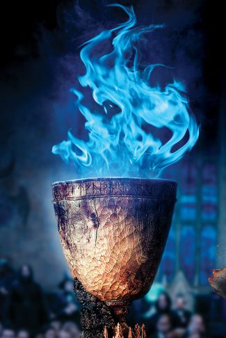 Download Harry Potter and the Goblet of Fire: The Goblet Wallpaper