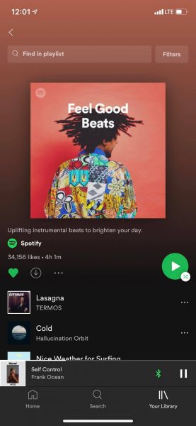 screenshot of spotify playlist download