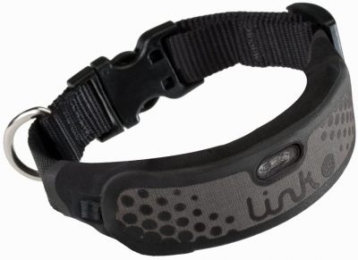 Link AKC Smart Dog Collar