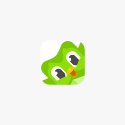 Duolingo for Kids Review: Should You Download This App Today?