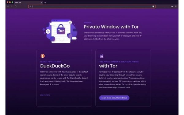 Screenshot of a private window with Tor