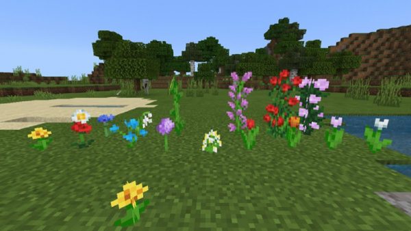 zebra shaders mcpe free download