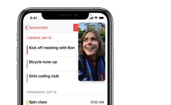 How to Use iOS 14 Picture in Picture Feature on Your iPhone