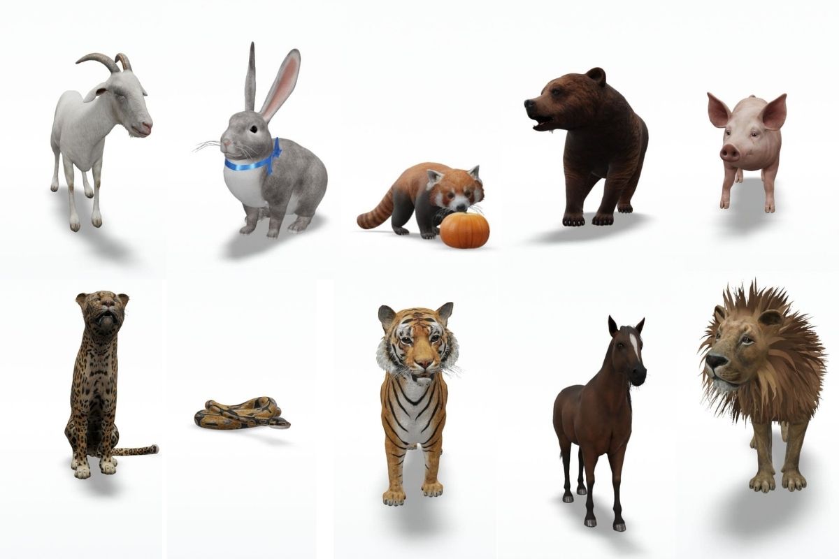 google 3d animals list view in your space