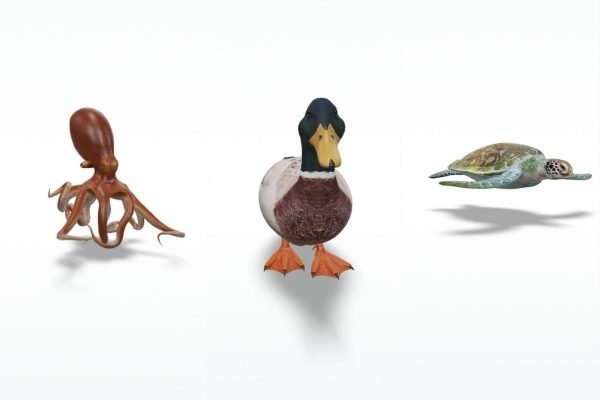 Some of Google 3D Wetland and Underwater Animals List: octopus, mallard duck, and green sea turtle