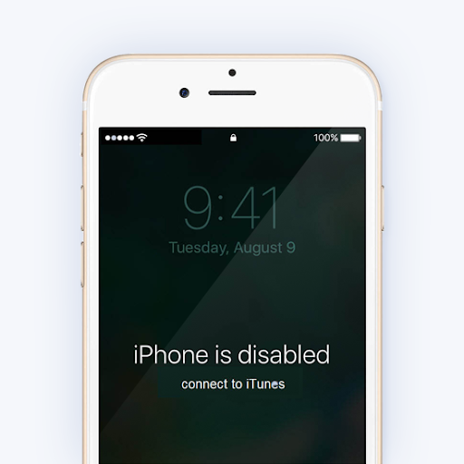 Iphone Disabled wallpaper by TemptatioN  Download on ZEDGE  cd91