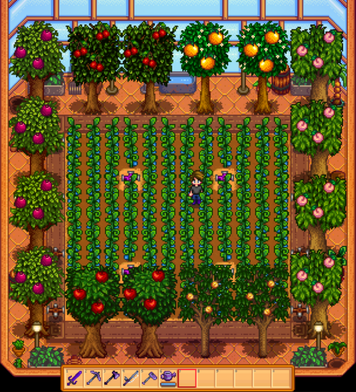 Stardew Valley Greenhouse: What It Is and How to Set It Up