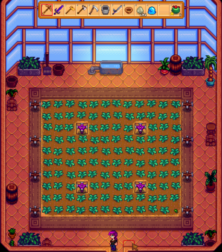 Stardew Valley Greenhouse What It Is and How to Set It Up