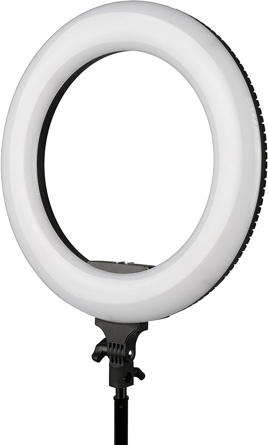 Ikan RLB48 Oryon
