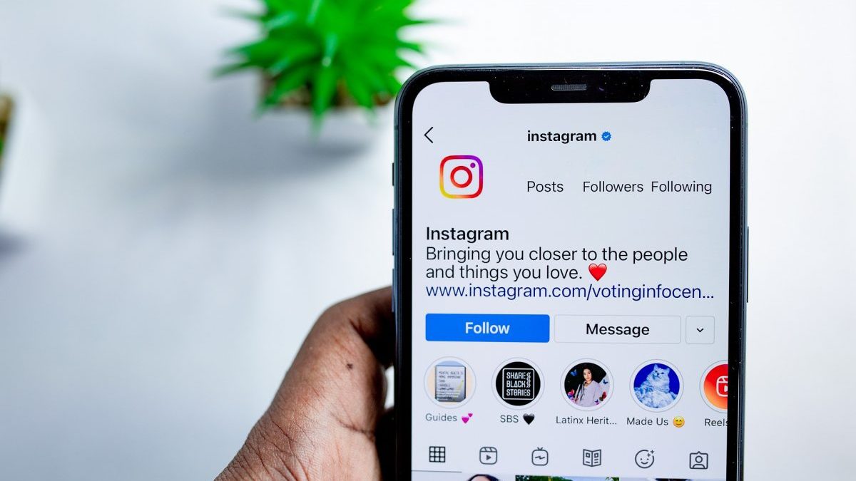 How to Search Instagram Without an Account