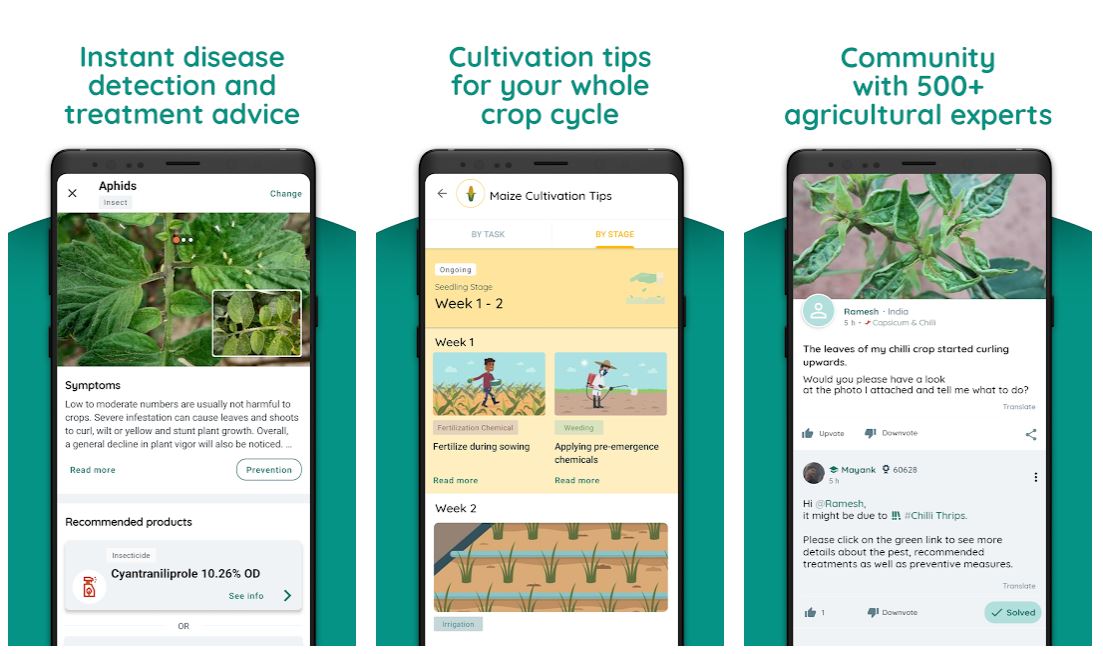 20 Best Plant Identification Apps for Gardeners and Plant Lovers