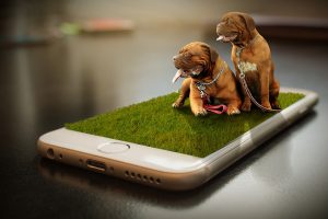 20 Best Dog Apps That Fur Parents Need to Download