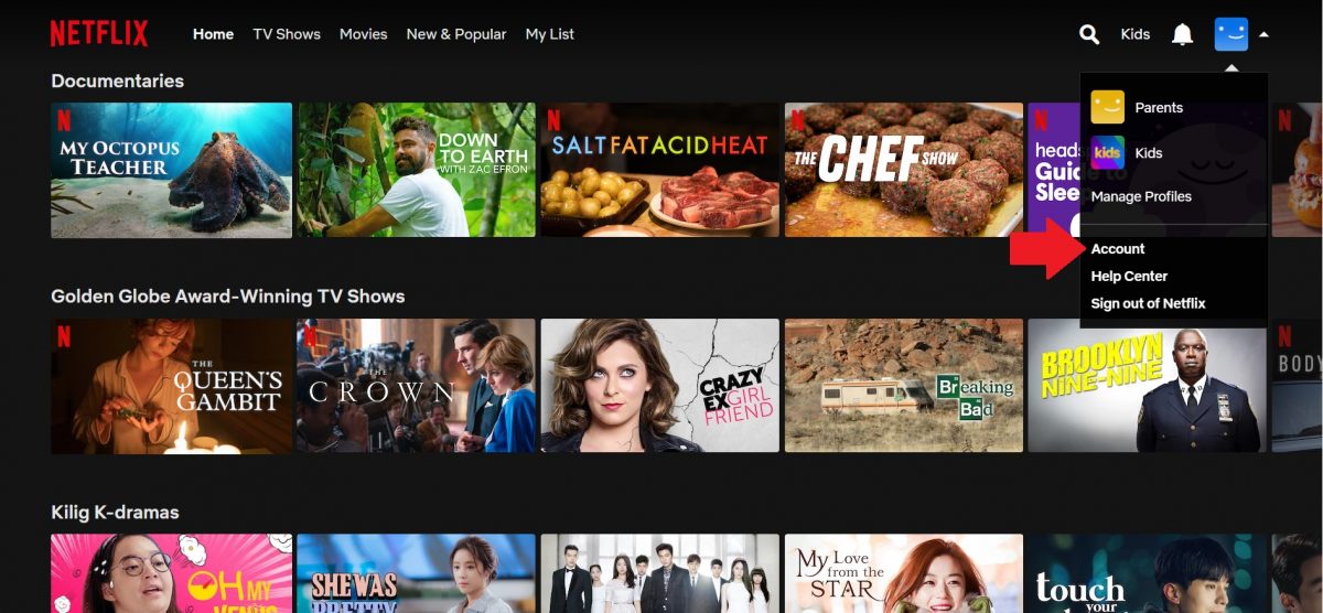 How to See and Manage Your Netflix Watch History