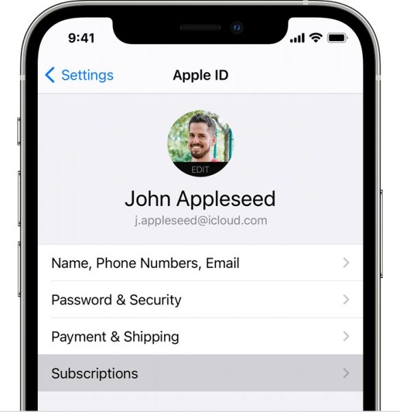 You can view your subscriptions from your iOS device's settings