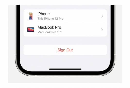 How to Sign Out of iCloud or Apple ID on iPhone, iPad, and More