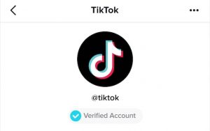 TikTok Counter - Find Your Realtime TikTok Live Follower Count - TechBullion