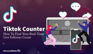 Tiktok Counter: How to Track Your Real-Time Live Follower Count