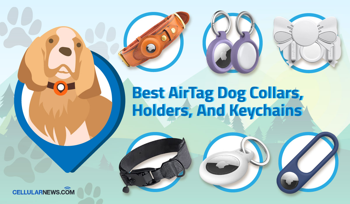 Best AirTag Dog Collars, Holders, and Keychains to Buy in 2022