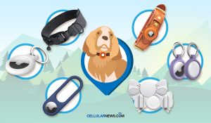 Best AirTag Dog Collars, Holders, and Keychains to Buy in 2022