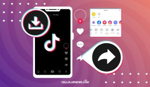 How to Save TikTok Videos Without Watermark [5 Ways]