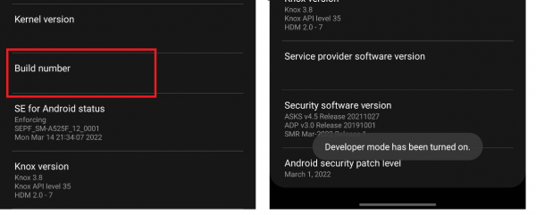 Tap the build number several times