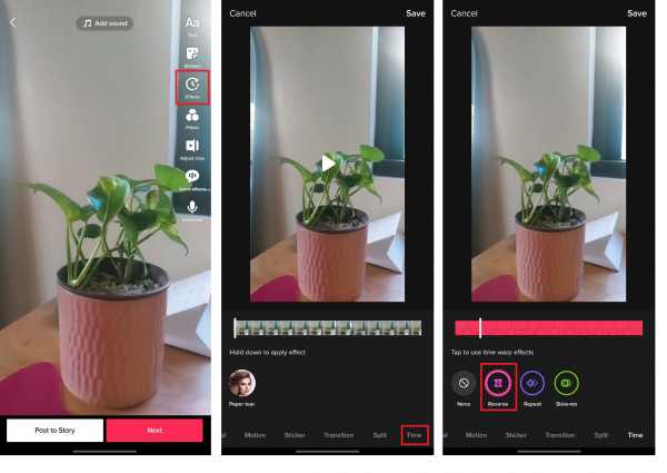 Applying the reverse effect on a TikTok video