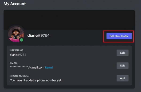 Click on Edit User Profile to upload a GIF PFP on Discord