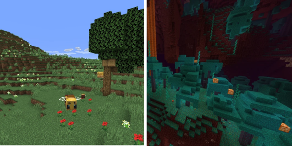 Possible locations for a Minecraft bee farm