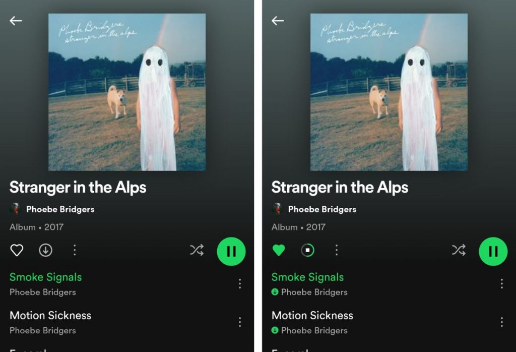 How to Download Songs on Spotify [Your Ultimate Guide]