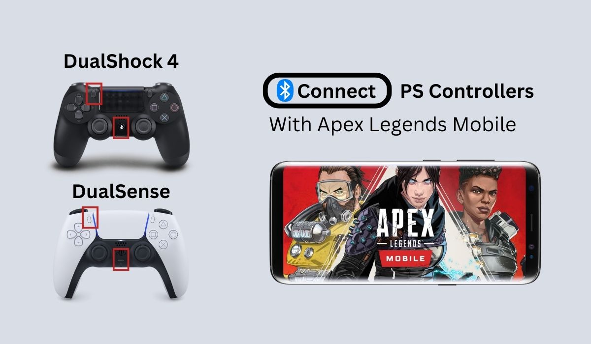 Apex Controller How to Set It Up