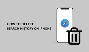 How to Delete Search History on iPhone