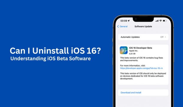 Can I Uninstall iOS 16?